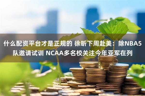 什么配资平台才是正规的 徐昕下周赴美：除NBA5队邀请试训 NCAA多名校关注今年亚军在列